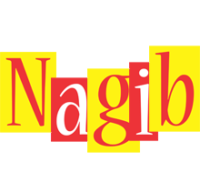 Nagib errors logo