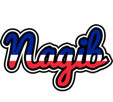 Nagib france logo