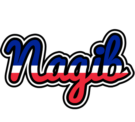 Nagib france logo