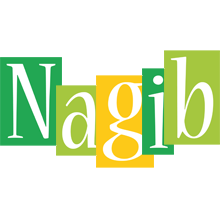 Nagib lemonade logo