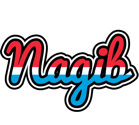 Nagib norway logo