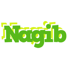 Nagib picnic logo