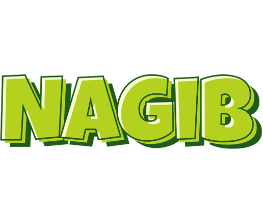 Nagib summer logo