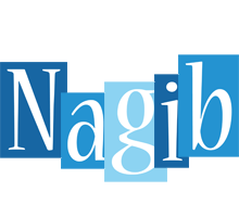 Nagib winter logo