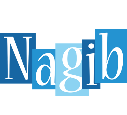 Nagib winter logo