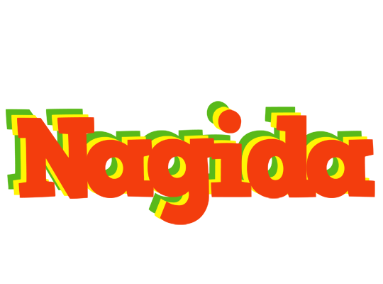 Nagida bbq logo
