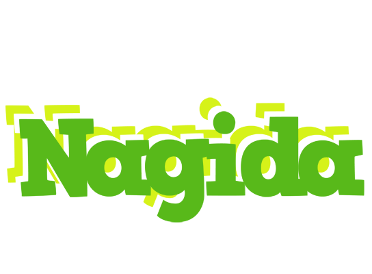 Nagida picnic logo