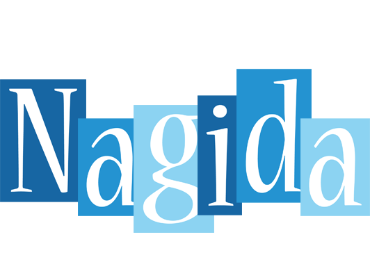 Nagida winter logo