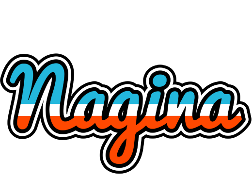 Nagina america logo