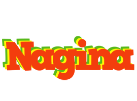 Nagina bbq logo