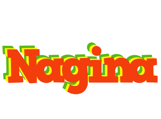Nagina bbq logo