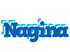 Nagina business logo