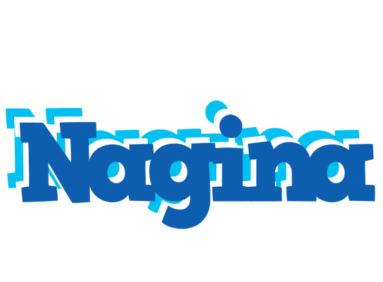 Nagina business logo
