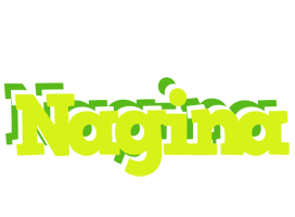 Nagina citrus logo