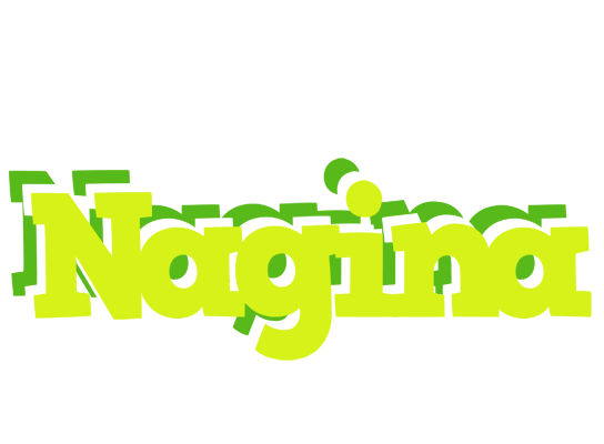 Nagina citrus logo