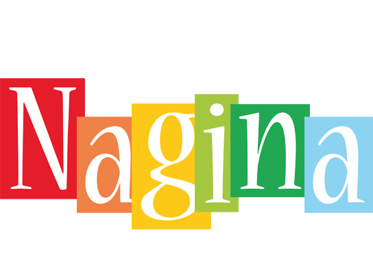 Nagina colors logo