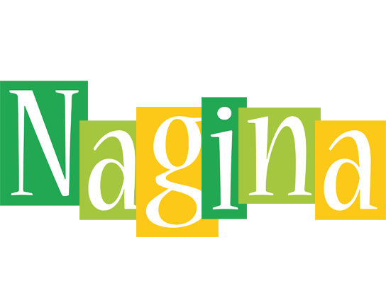 Nagina lemonade logo