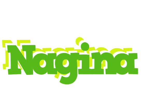 Nagina picnic logo