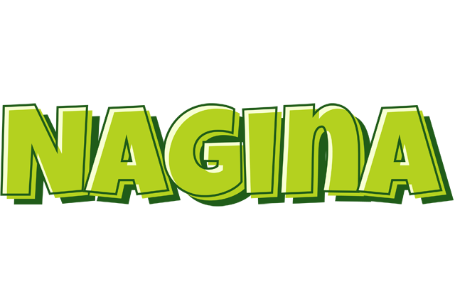 Nagina summer logo