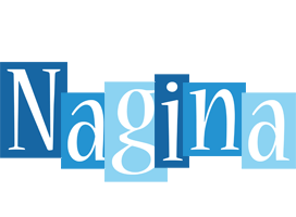 Nagina winter logo