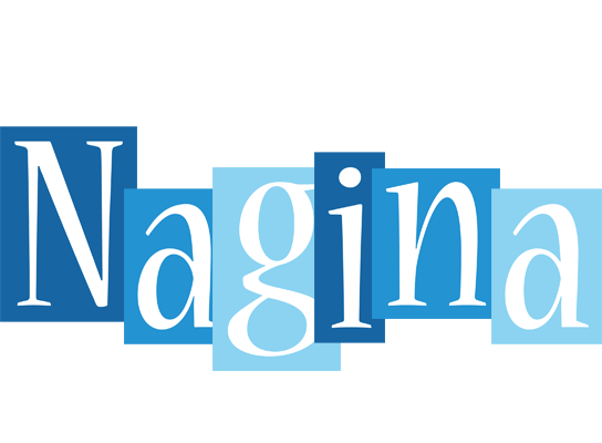 Nagina winter logo