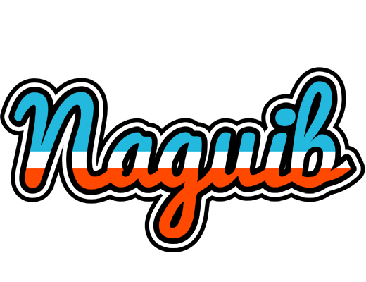 Naguib america logo