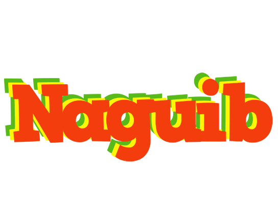 Naguib bbq logo