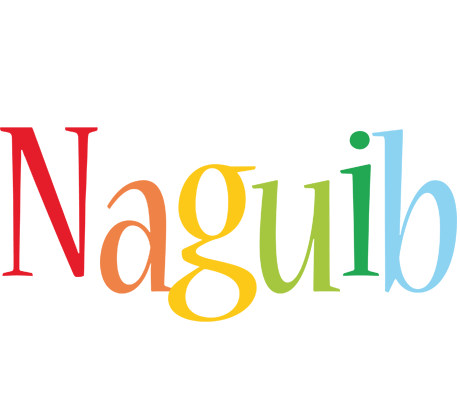 Naguib birthday logo