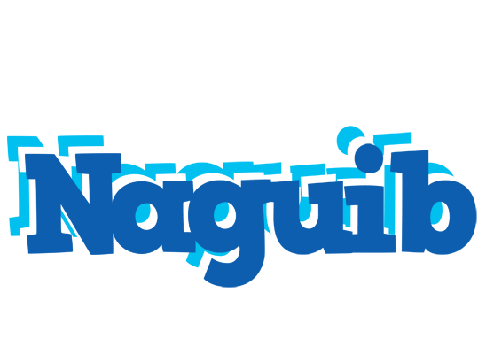 Naguib business logo