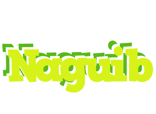 Naguib citrus logo