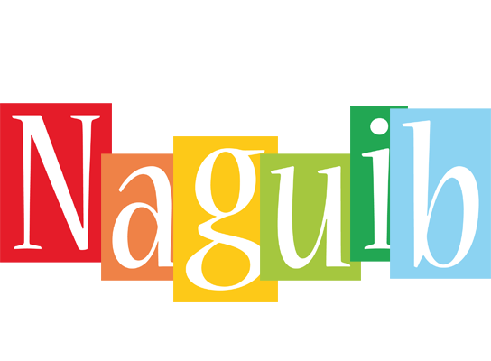 Naguib colors logo