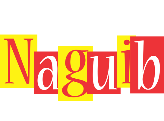 Naguib errors logo