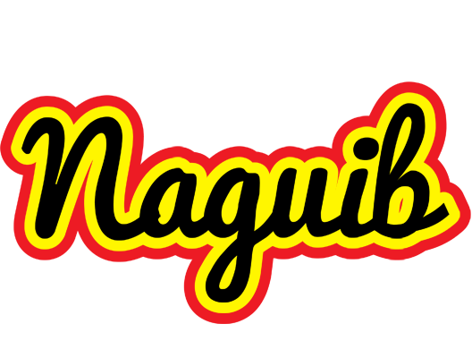 Naguib flaming logo