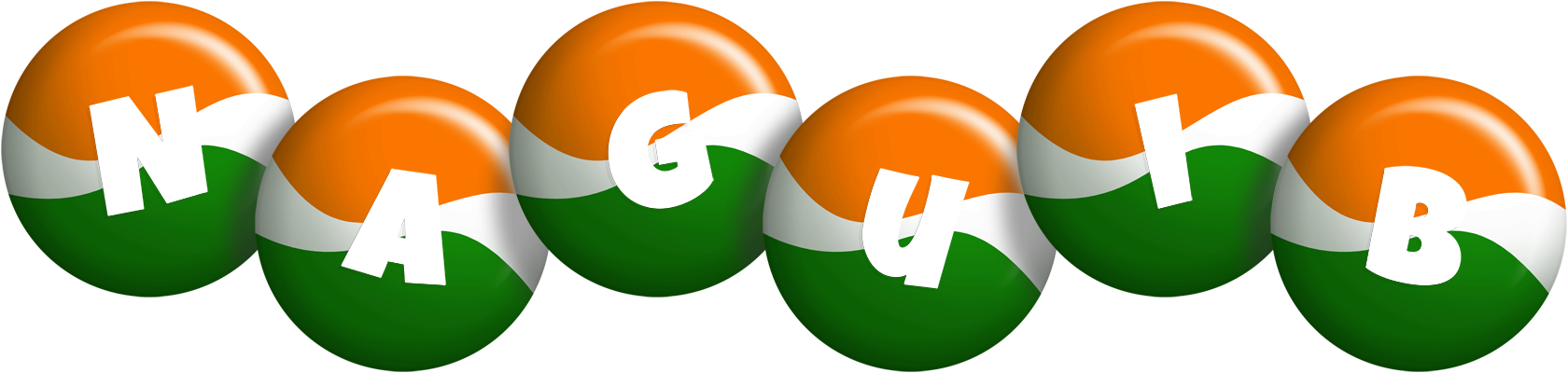 Naguib india logo