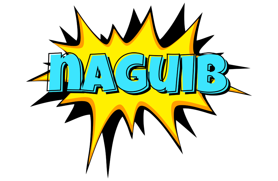 Naguib indycar logo
