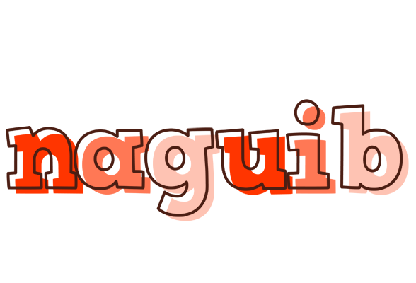Naguib paint logo