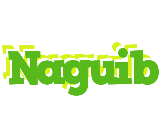 Naguib picnic logo