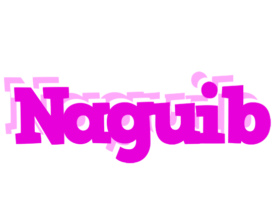 Naguib rumba logo