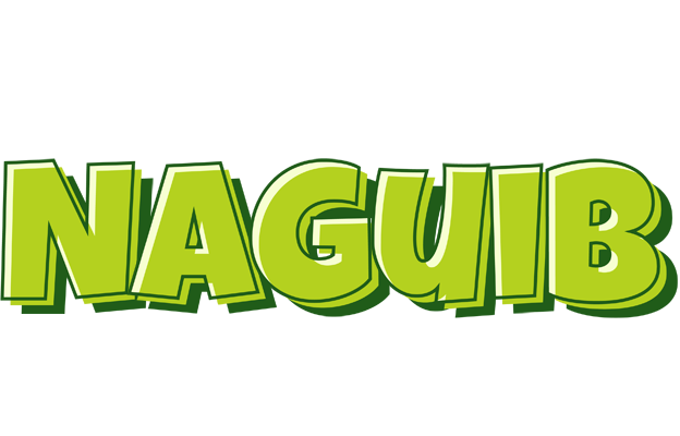 Naguib summer logo
