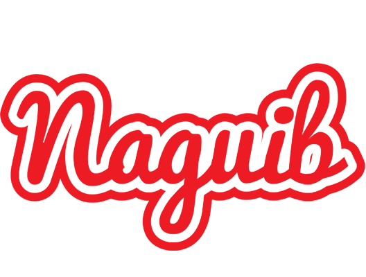 Naguib sunshine logo