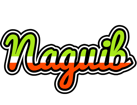 Naguib superfun logo
