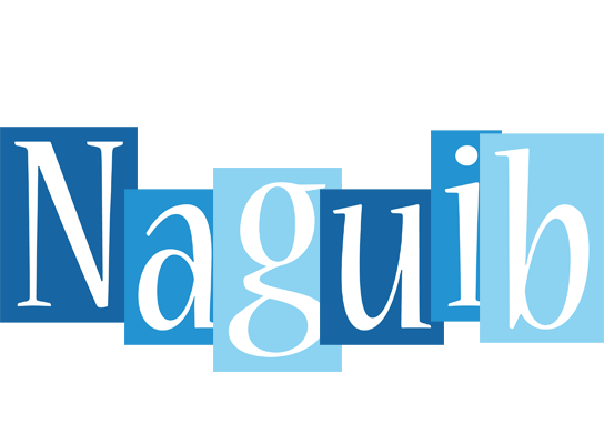 Naguib winter logo
