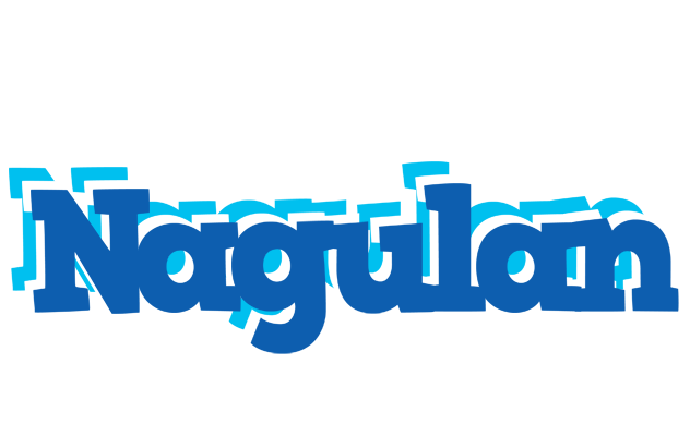 Nagulan business logo
