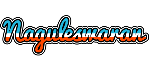 Naguleswaran america logo