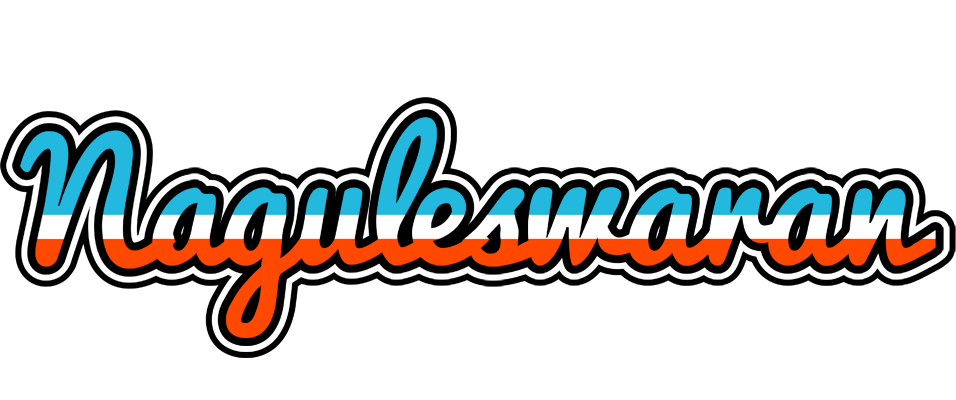 Naguleswaran america logo