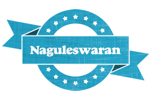 Naguleswaran balance logo