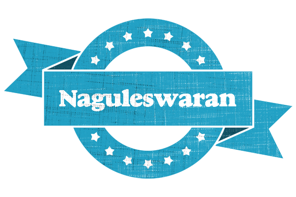 Naguleswaran balance logo