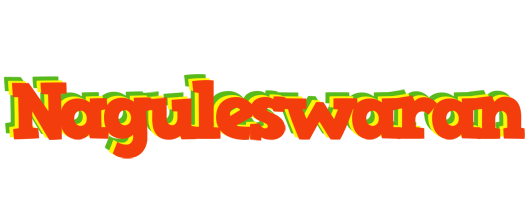 Naguleswaran bbq logo