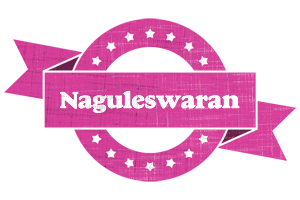 Naguleswaran beauty logo