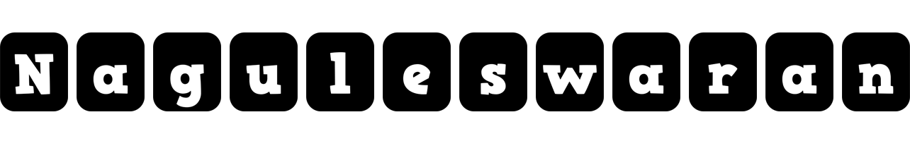 Naguleswaran box logo